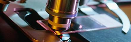 凯时娱乐人生就是博!(中国)官方网站